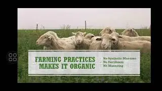 OPTIMAL HEALTH-2 #wellness #wellnesswave