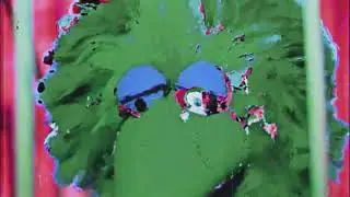 Follow That Bird Sleepwave