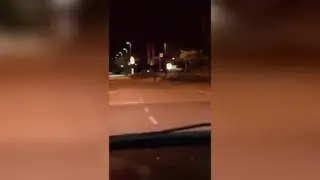 Pergine, lupo corre per le strade