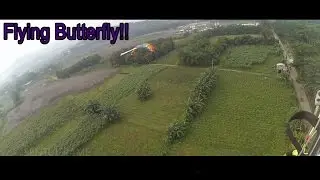 Flying Butterfly!! | 68th Anniversary of BEKANGAD at Sentul City