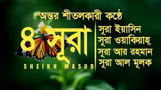 Surah Yaseen, Surah Ar Rahman, Surah Waqiah, Surah Mulk - Four Important Surah by Sheikh Masud