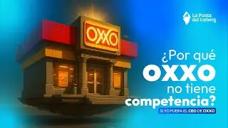 SI YO FUERA EL CEO N°29: OXXO