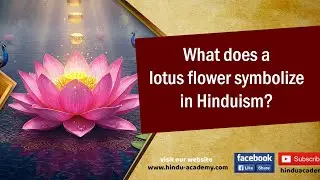 What Does the Lotus Flower Symbolize in Hinduism? | Spiritual Meaning & Significance | Jay Lakhani
