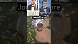high school yearbook quotes 😊