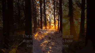 Winter Sun & Silent Nights ☀️❄️ | A Deep Truth in One Line