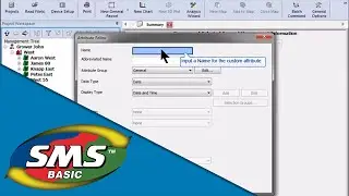 SMS™ Creating Custom Attributes