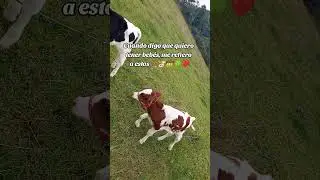 los &uacute;nicos bebes que necesito 🐂🙏📿📿❤️🍀🥹