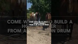 Come With Me To Build a Horse Feeder from a 55-gallon drum #horse #equestrian #shorts #horses