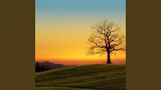 Sunrise Tranquility (loop sequence)
