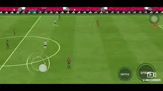 Argentina vs protogal