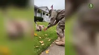What happens when a cat sees it's owner who's just back from military service? 🐱🇺🇸