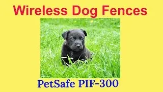 Wireless fences for dogs-PetSafe PIF-300