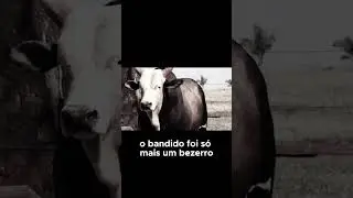 O Touro mais perigoso dos RODEIOS no Brasil! #touro #tourobravo #rodeio