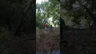 Z&Eacute; GAL&Atilde;O PROCURANDO MADEIRA ( LD COM&Eacute;DIA DO INTERIOR )