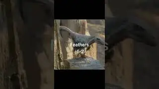 JW Velociraptor vs Accurate Velociraptor #shorts