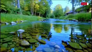 Gentle Healing Sounds &mdash; Piano & River Flow for Deep Calm | 10 Hours