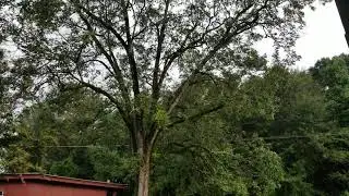 (2021-07-26) The Echo of Rex Lumber's Steam Whistle