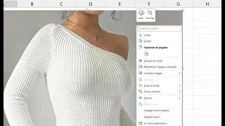 Recortar una pantalla y guardarla como imagen en Excel