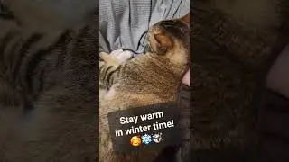 Stay warm in winter time! 🥰❄️☃️