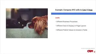 Salesforce.com How-To: Creating Record Types in Salesforce Classic