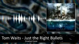 Tom Waits - Just the Right Bullets (2methyl Cover)