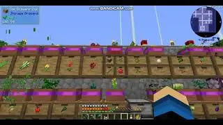 Botany pots