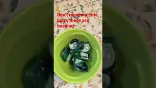 The tide pods are bussing.