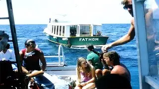 Bermuda Vacation 1982 Slideshow ~ Elbow Beach, Devils Hole and Diving with Dave McLeod