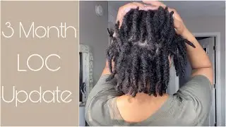 3 Month Loc Update | Review | Loc Journey | Starter Locs
