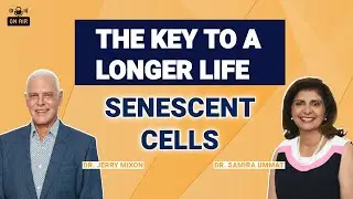 The Key To A Longer Life: The Impact Of Senescent Cells On Aging