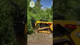 Land clearing using a CAT299D3 with a mulcher head CAT HMD316