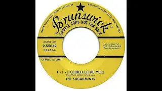 SUGARMINTS  I- I- I COULD LOVE YOU