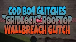 Black Ops 4 Glitches - 