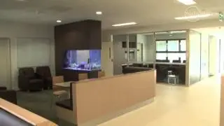 Boost for mental health in Perth     01:33