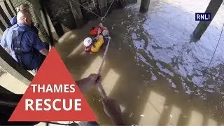 Terrified man rescued from the River Thames by the RNLI