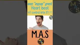 क्या rudraskha हमारे heart beat को control करता है ???? #shorts!!!! #youtubeshorts