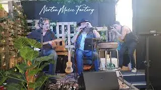 Walking Blues cover by Barry Charles (harmonica and vocals) Paul Camilleri (guitar)
