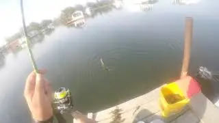 Fishing in Horseshoe Pond Erie,Pa