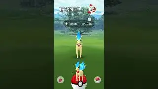 Did We Get✨SHINY MORELULL✨? | Pokemon Go Festival of Lights Event