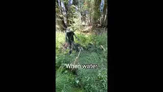 Beaver Dam Analog Walk Thru by American River Conservancy