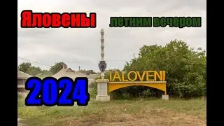Яловены приятным летним вечером