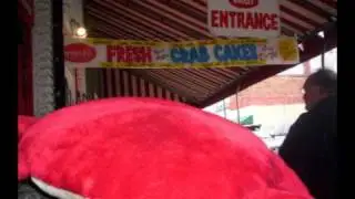 A Crab Love Story