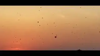 Basant Song 2020 lockdown Sialkot