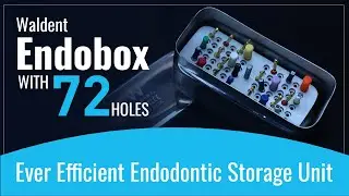 Ever Efficient Endodontic Storage Unit | Waldent Endobox with 72 Holes