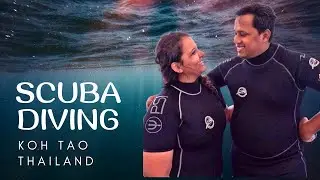 Learning to SCUBA DIVE in Koh Tao, Thailand 🇹🇭