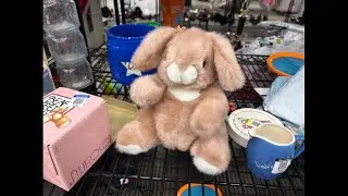 @GoodwillKeystoneArea Gund Rosanna&rsquo;s First Easter!