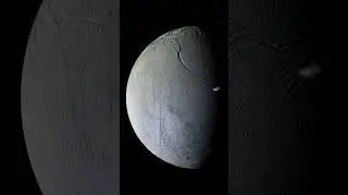 NASA May Have Found Alien Life on Saturn&rsquo;s Moon! 🌌 #shorts #nasa #space #alien