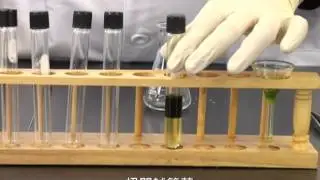 液液萃取(微型)