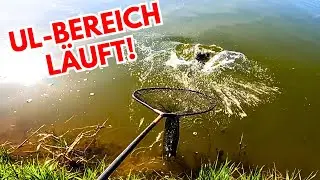 Forellenangeln im Angelpark Th&ouml;nse im UL Bereich: Spoon und Lifter Lures bringen Forellen! #forelle