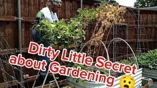 The Dirty Little Secret of Gardening 🌿 | Fall Garden Clean-Up